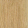 Framcolor 2001
