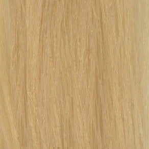 Framcolor 2001