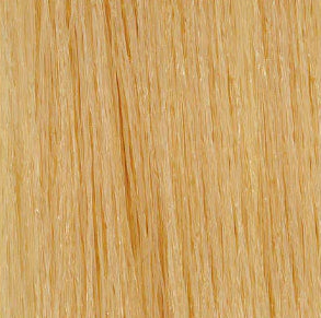 Framcolor 2001