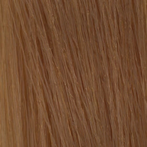 Framcolor 2001