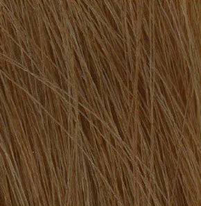Framcolor 2001