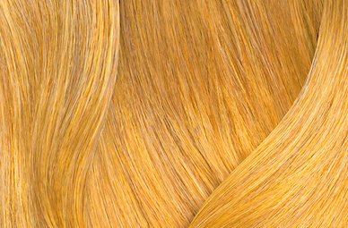 SoColor Sync  Pre-Bonded