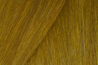 Color Gels Lacquers