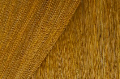 Color Gels Lacquers