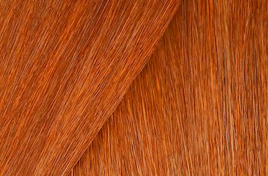 Color Gels Lacquers