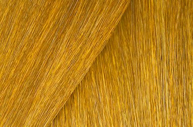 Color Gels Lacquers