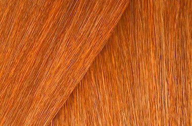 Shades EQ Gloss Demi-Permanent Color Hair Toner 2 oz.
