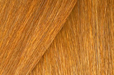 Shades EQ Gloss Demi-Permanent Color Hair Toner 2 oz.