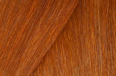 Cover Fusion Permanent Color Cream 2 oz.