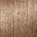 R+COLOR STELLAR Demi-Permanent Liquid Hair Color 2 oz.