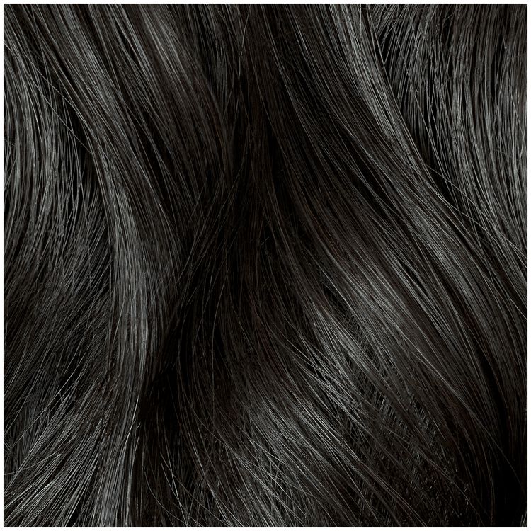 Clairol Professional Permanent Liquid Hair Color
