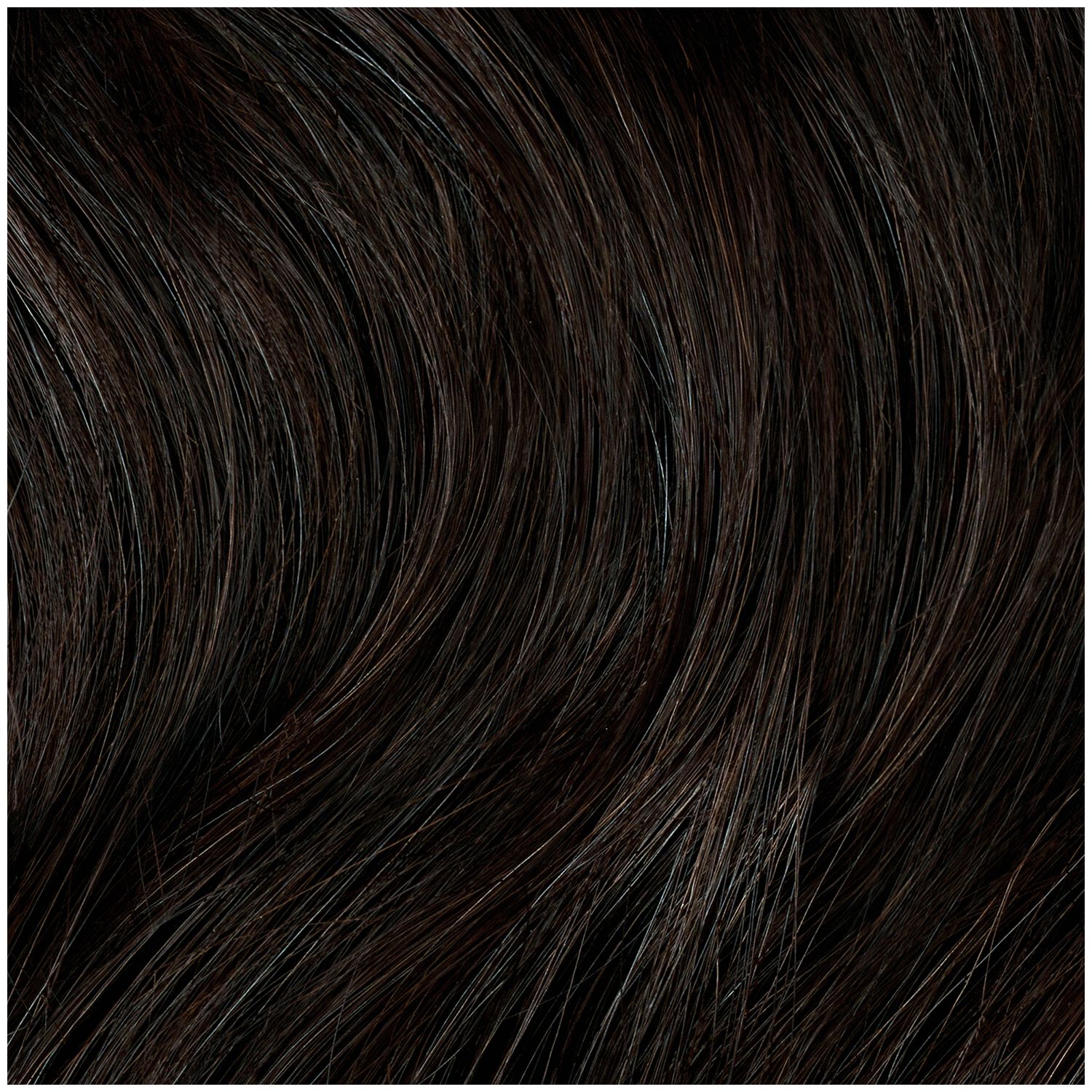 Clairol Professional Permanent Liquid Hair Color