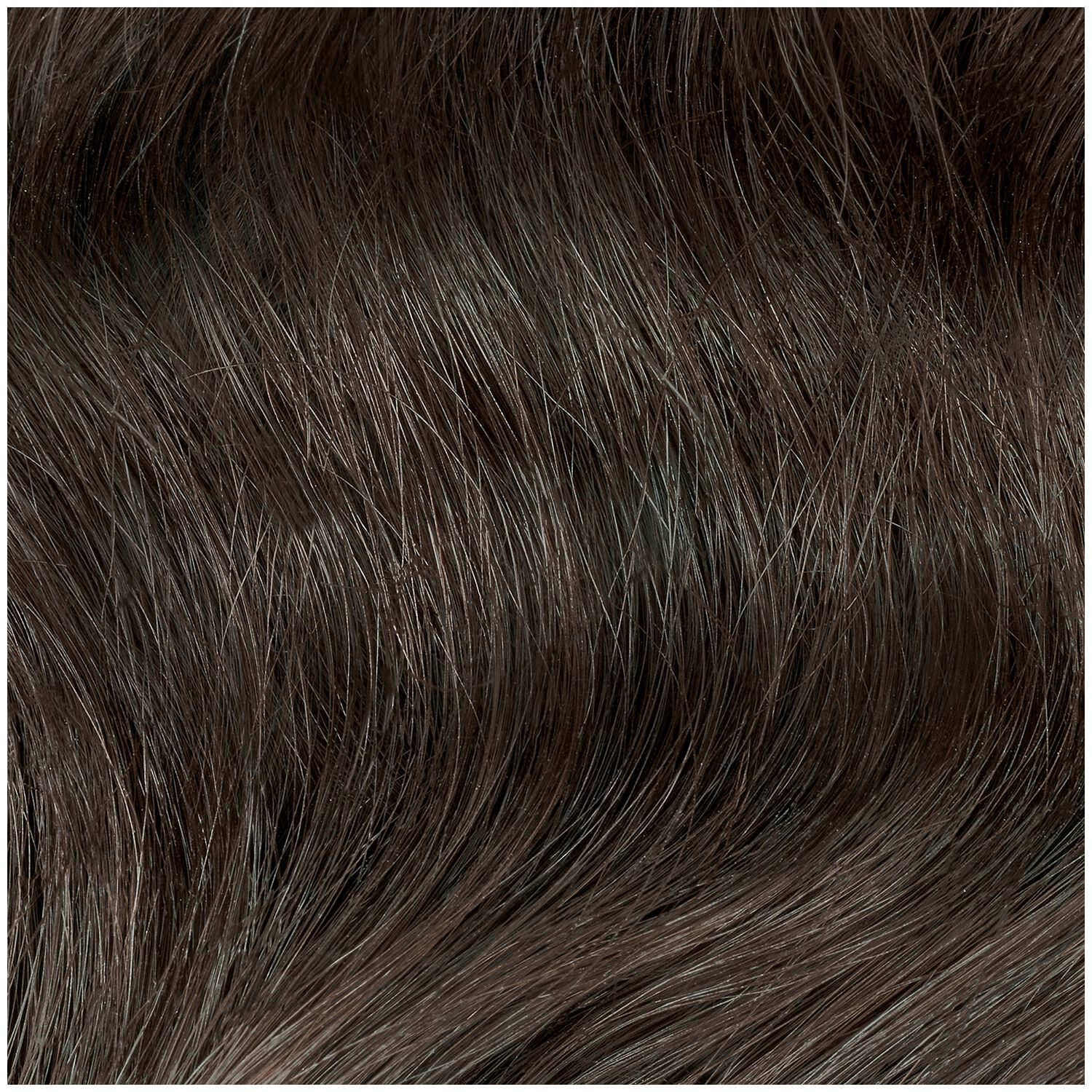 Clairol Professional Permanent Liquid Hair Color