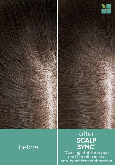 Scalp Sync Cooling Mint Shampoo
