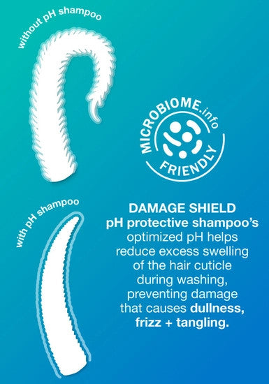 Damage Shield pH Protective Shampoo