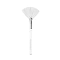 masque fan brush