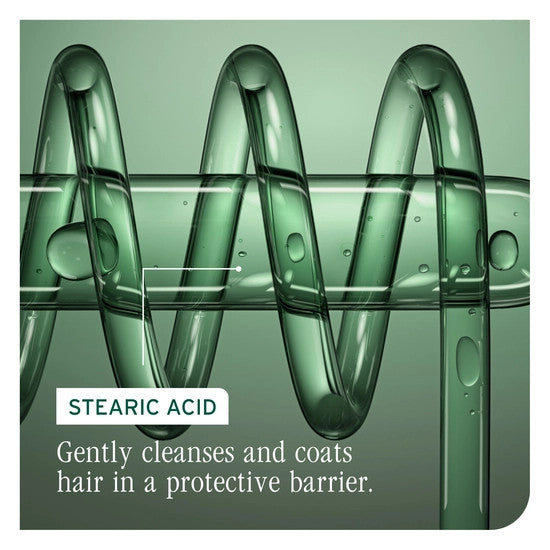 Color Last Conditioner for Color-Treated Hair