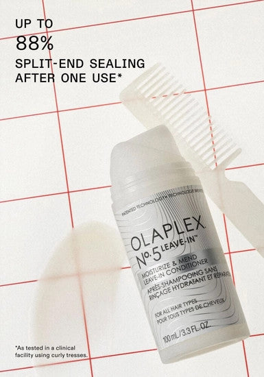 No.5 Leave-In Moisturize & Mend Leave-In Conditioner