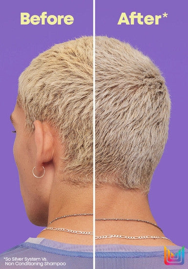 So Silver Purple Shampoo for Blonde and Silver Hair