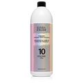 Permanent Developer 10 Volume