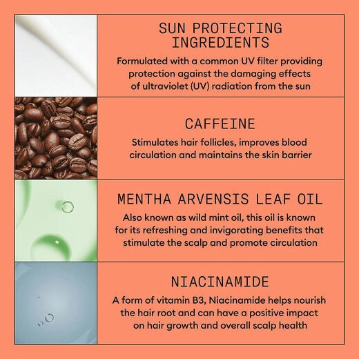 System 4 Treatment