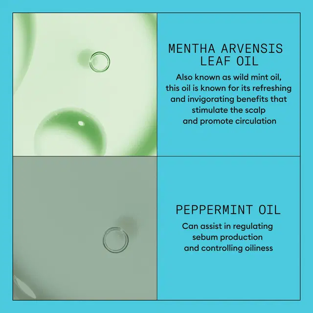 System 3 Conditioner